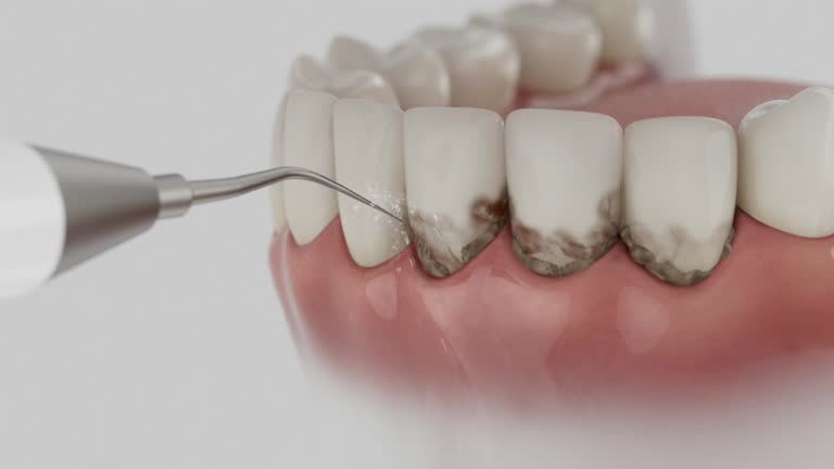 Reliable Dental contractor in Buckhall, VA by Dentist Open Now